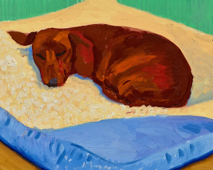 Rare Hockney Dog Painting to Be Auctioned