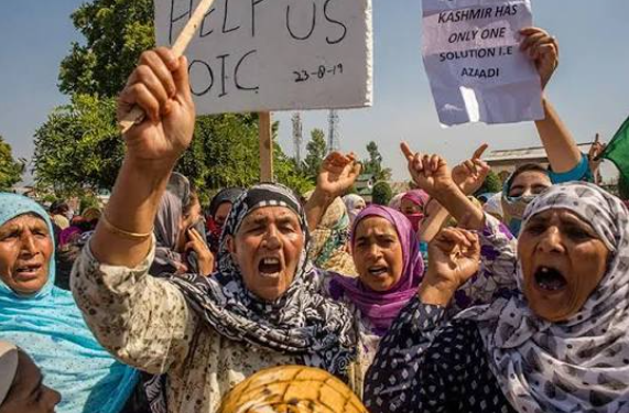 Kashmiri activists demand protection of identity and rights Kashmiri activists demand protection of identity and rights