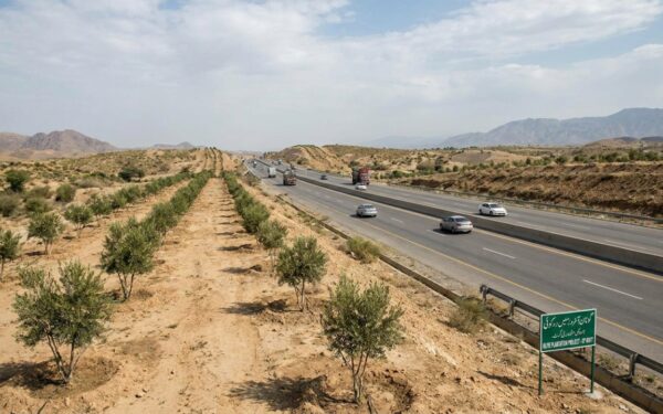 Peshawar High Court Considers Olive Plantation Along Motorways