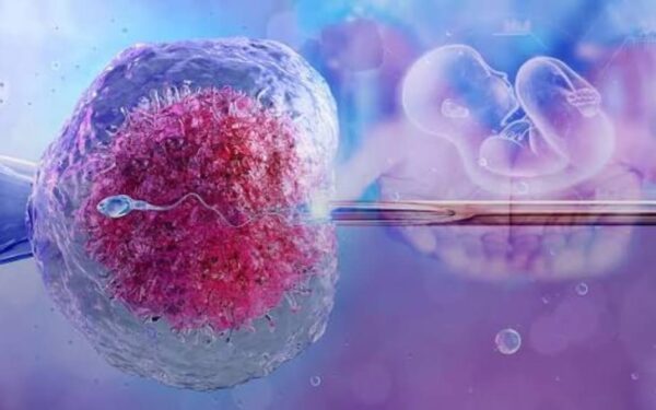 Pakistani Scientist Hailed for Breakthrough in IVF Imaging