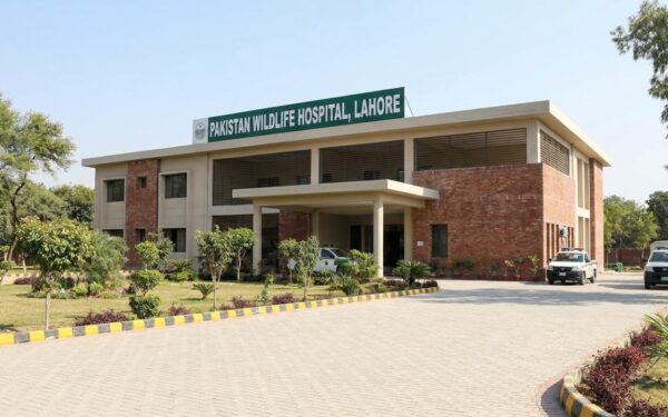 Punjab Launches Pakistan’s First Wildlife Hospital Punjab Launches Pakistan’s First Wildlife Hospital