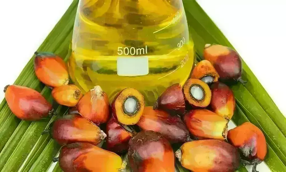 Malaysian Palm Oil Futures Fall as Soyoil Weakens Malaysian Palm Oil Futures Fall as Soyoil Weakens