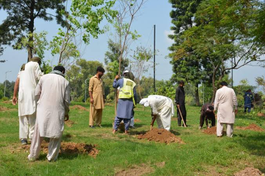 CDA Expands Tree Plantation Efforts in Islamabad