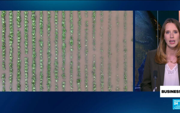 UN warns El Niño to hit global economy UN warns El Niño to hit global economy