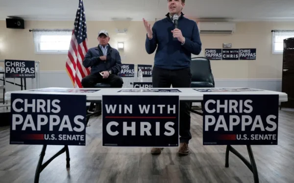 New Hampshire Primaries Set Stage for Crucial Senate Race New Hampshire Primaries Set Stage for Crucial Senate Race