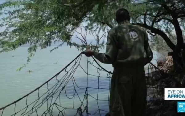 Kenya wildlife officers battle rising lakes and crocodile threat Kenya wildlife officers battle rising lakes and crocodile threat