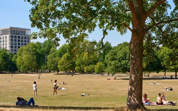 Half of English Constituencies Lack Access to Green Spaces Half of English Constituencies Lack Access to Green Spaces