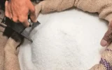 Government Approves Export of 200,000 MT Surplus Sugar