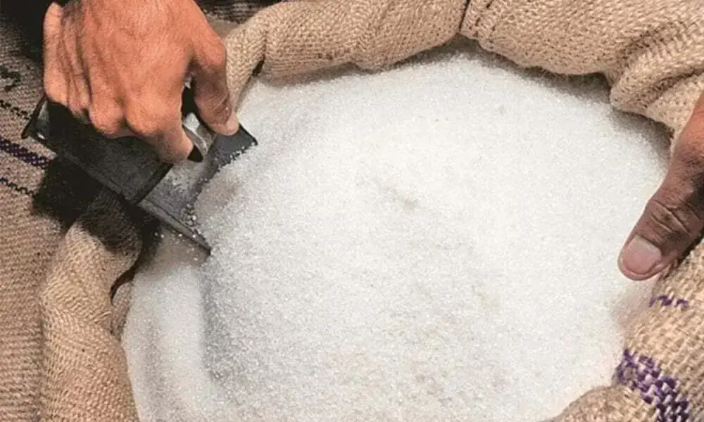 Government Approves Export of 200,000 MT Surplus Sugar Government Approves Export of 200,000 MT Surplus Sugar