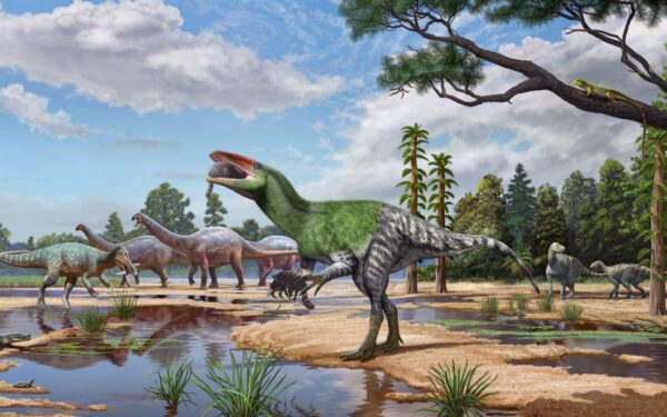 New dinosaur species discovered 102 years after fossil found New dinosaur species discovered 102 years after fossil found