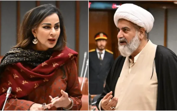 Senate raises concerns over December petrol availability amid supply worries