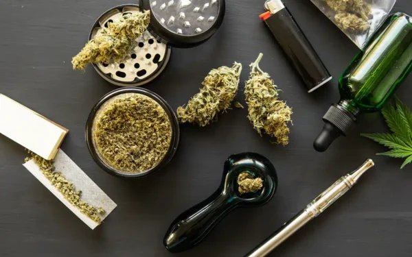 SECP and CCRA Introduce New Rules for Cannabis Industry SECP and CCRA Introduce New Rules for Cannabis Industry