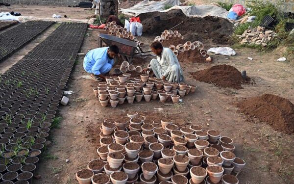 Nursery workers prepare clay pots for planting in Federal Capital