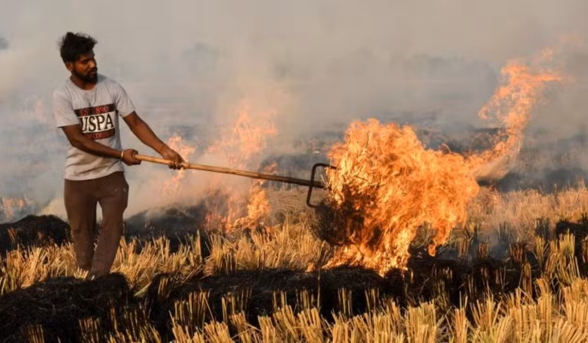 Punjab Agriculture Department Urges Farmers to Avoid Stubble Burning