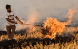 Punjab Agriculture Department Urges Farmers to Avoid Stubble Burning