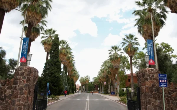 University of Arizona student alleges sexual assault at fraternity house University of Arizona student alleges sexual assault at fraternity house