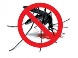 Health authorities impose fine for dengue cases