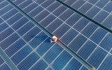 IEA report highlights global shift towards electrification IEA report highlights global shift towards electrification