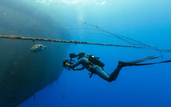 Blue Planet III Uses Cloudier Footage to Ensure Authenticity Blue Planet III Uses Cloudier Footage to Ensure Authenticity