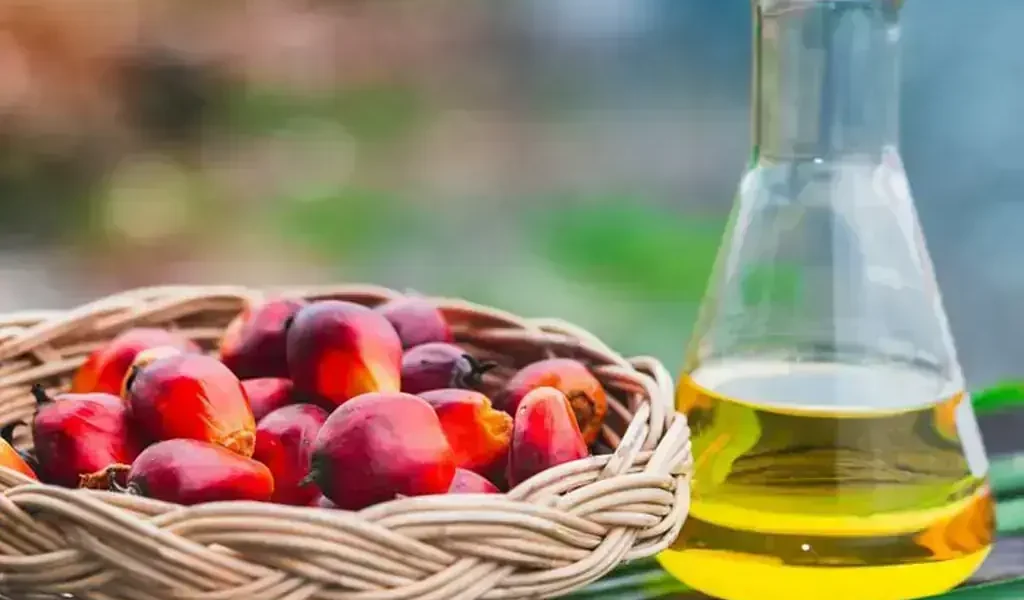 Palm oil futures rise for third session, tracking crude and Dalian Palm oil futures rise for third session, tracking crude and Dalian