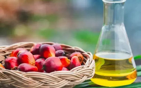 Palm oil futures rise for third session, tracking crude and Dalian Palm oil futures rise for third session, tracking crude and Dalian