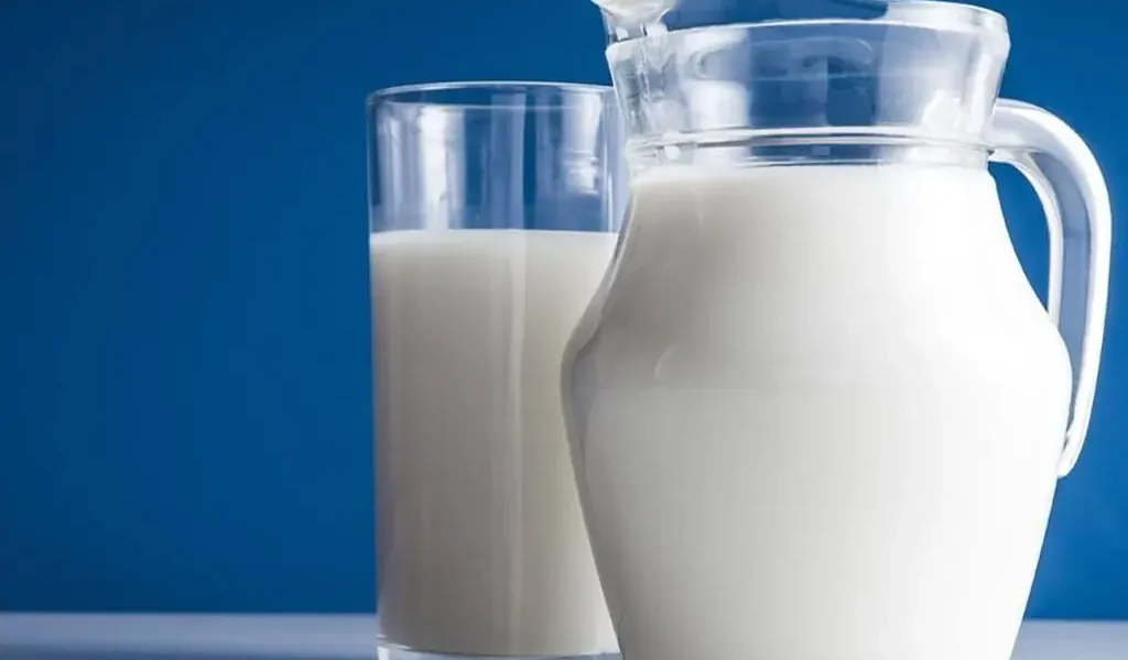 Punjab to Provide Land for Camel Milk Powder Plant in Faisalabad SEZ