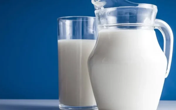 Punjab to Provide Land for Camel Milk Powder Plant in Faisalabad SEZ Punjab to Provide Land for Camel Milk Powder Plant in Faisalabad SEZ