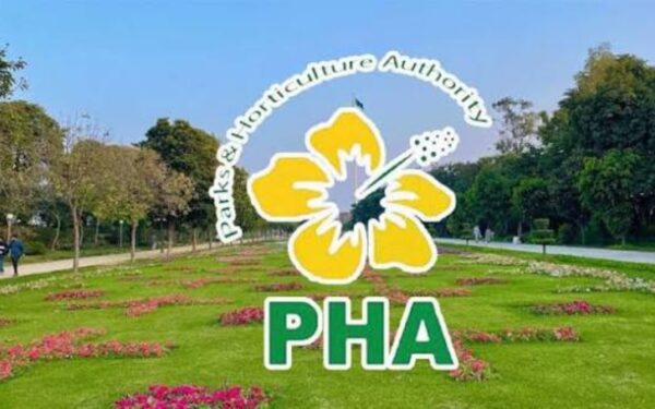 PHA Launches City-Specific Planting Plans Across Punjab PHA Launches City-Specific Planting Plans Across Punjab