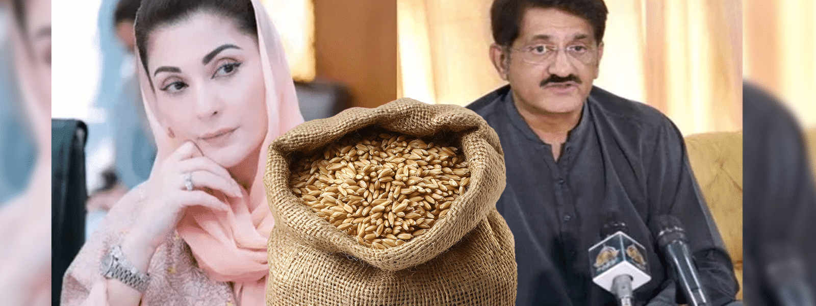Government Considers Higher Wheat Prices Amid Import Costs Government Considers Higher Wheat Prices Amid Import Costs