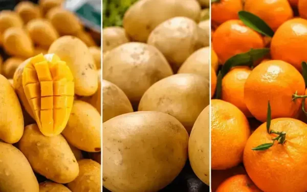 SECP initiates action over SE Fruits IPO disclosures