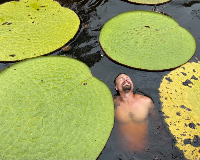 Social media plant selfie leads to discovery of critically endangered giant waterlily