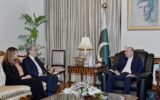 President Zardari Meets IMF Official at Aiwan-e-Sadr President Zardari Meets IMF Official at Aiwan-e-Sadr