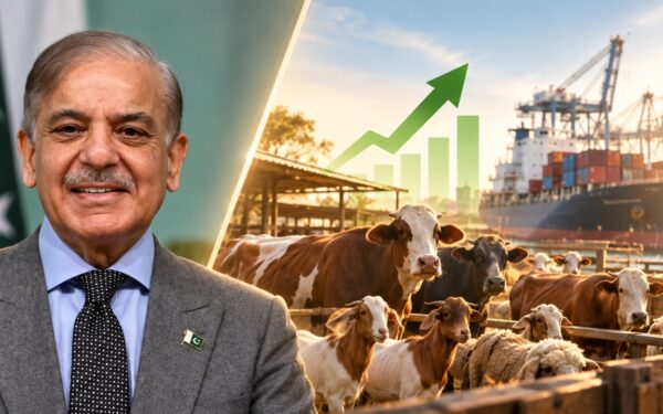 PM Approves Duty-Free Imports to Boost Livestock Exports