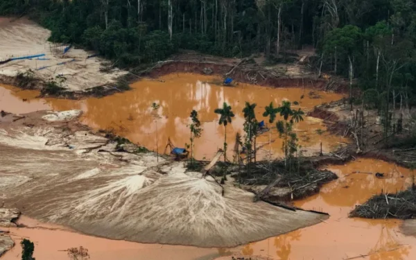 US Corporations Attempt to Weaken EU Deforestation Law