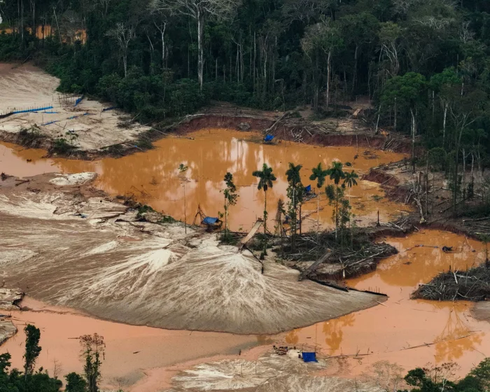 US Corporations Attempt to Weaken EU Deforestation Law