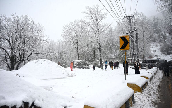 Winter wonderland: Snowfall draws tourists to Galiyat Winter wonderland: Snowfall draws tourists to Galiyat