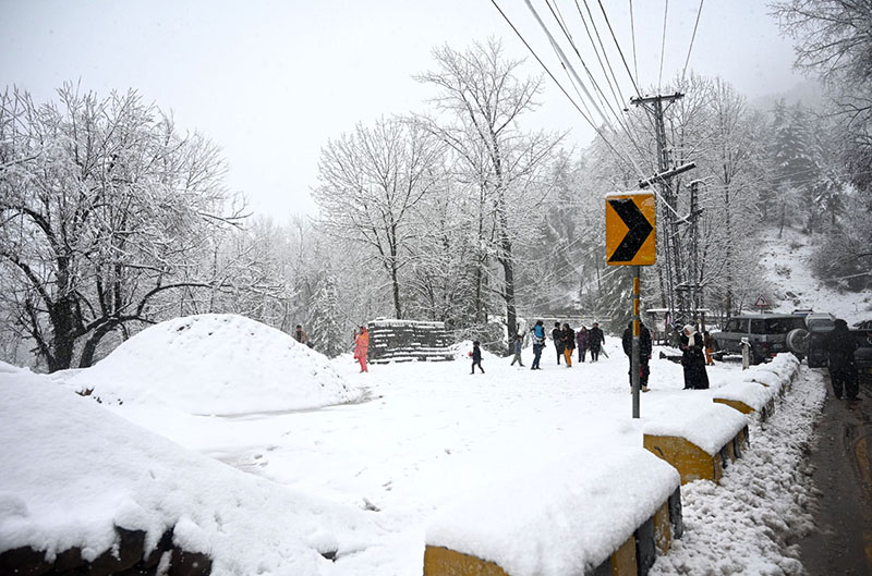 Winter wonderland: Snowfall draws tourists to Galiyat Winter wonderland: Snowfall draws tourists to Galiyat