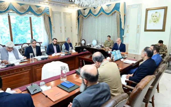 PM Shehbaz sets wheat price for 2027 at Rs4,500 per maund