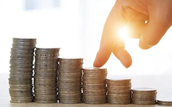 Microfinance institutions struggle to transform small businesses in Pakistan