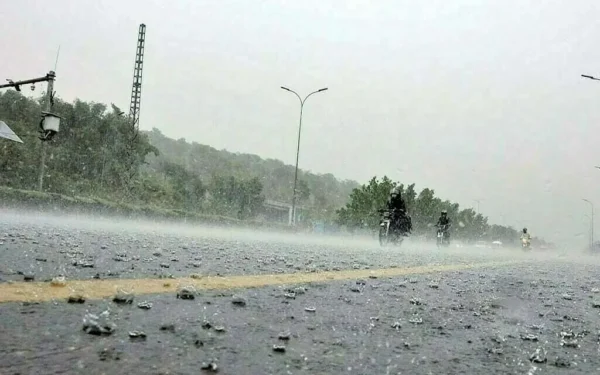 PDMA Punjab issues rainfall alert for October 6-7 PDMA Punjab issues rainfall alert for October 6-7