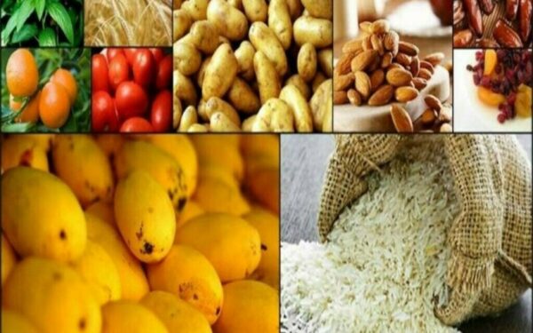 Punjab government prepares to amend food supplies committee rules Punjab government prepares to amend food supplies committee rules
