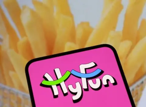 HyFun Foods Set to Launch 8 Million IPO in India
