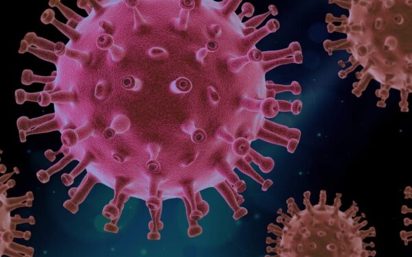 Punjab Government Warns of Rising Patient Numbers Due to Flu and COVID-19 Punjab Government Warns of Rising Patient Numbers Due to Flu and COVID-19