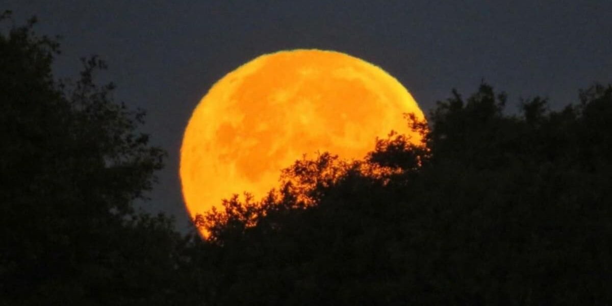 Hunter’s Moon to Illuminate Skies This Month Hunter’s Moon to Illuminate Skies This Month
