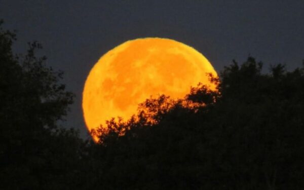 Hunter’s Moon to Illuminate Skies This Month Hunter’s Moon to Illuminate Skies This Month