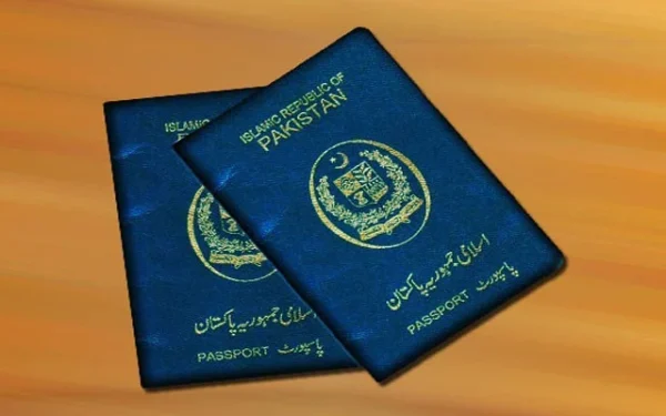 Senate approves bill allowing ex-lawmakers to retain blue passports