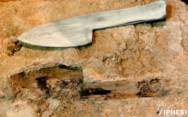 Neanderthal wooden tools discovered in Spain Neanderthal wooden tools discovered in Spain