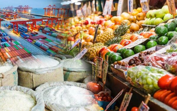 Food Exports Surge 25.32% in First Quarter of FY2027 Food Exports Surge 25.32% in First Quarter of FY2027