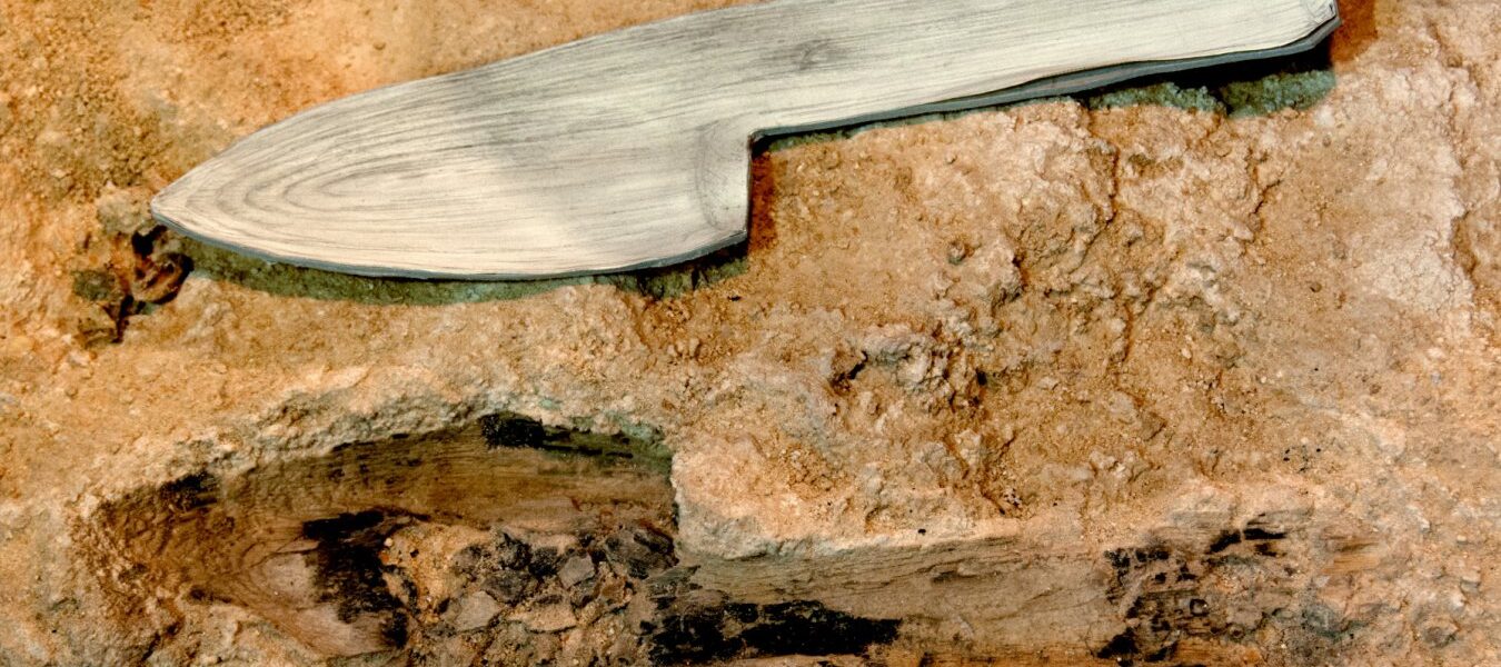 Neanderthals Used Wood as Much as Stone in Daily Life Neanderthals Used Wood as Much as Stone in Daily Life