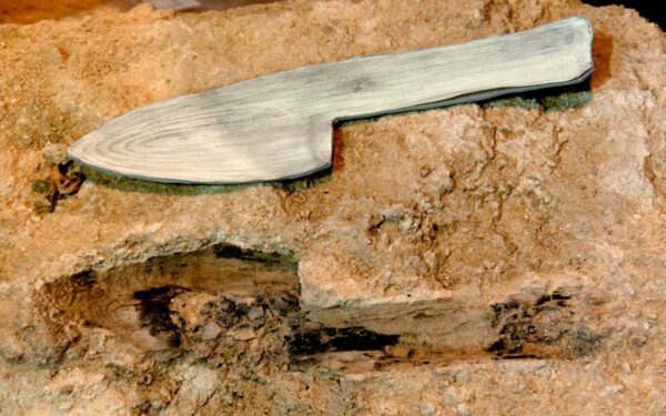 Neanderthals Used Wood as Much as Stone in Daily Life Neanderthals Used Wood as Much as Stone in Daily Life
